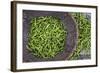 Green Chillies in Hpa an Morning Market, Kayin State (Karen State), Myanmar (Burma), Asia-Matthew Williams-Ellis-Framed Photographic Print