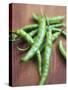 Green Chillies-Tara Fisher-Stretched Canvas