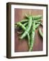 Green Chillies-Tara Fisher-Framed Photographic Print