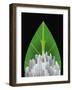 Green City-null-Framed Giclee Print