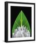 Green City-null-Framed Giclee Print