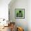 Green Cityscape-Paul Brent-Framed Art Print displayed on a wall