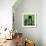 Green Cityscape-Paul Brent-Framed Art Print displayed on a wall