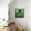 Green Cityscape-Paul Brent-Framed Stretched Canvas displayed on a wall