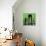 Green Cityscape-Paul Brent-Stretched Canvas displayed on a wall