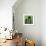 Green Cityscape-Paul Brent-Framed Art Print displayed on a wall