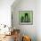 Green Cityscape-Paul Brent-Framed Premium Giclee Print displayed on a wall