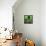 Green Cityscape-Paul Brent-Framed Stretched Canvas displayed on a wall