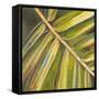 Green Close Up I-Patricia Pinto-Framed Stretched Canvas