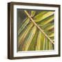 Green Close Up I-Patricia Pinto-Framed Art Print