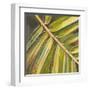 Green Close Up I-Patricia Pinto-Framed Art Print