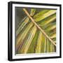 Green Close Up I-Patricia Pinto-Framed Art Print