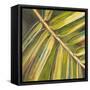 Green Close Up I-Patricia Pinto-Framed Stretched Canvas