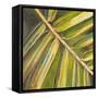 Green Close Up I-Patricia Pinto-Framed Stretched Canvas