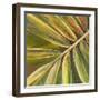 Green Close Up II-Patricia Pinto-Framed Premium Giclee Print