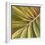 Green Close Up II-Patricia Pinto-Framed Premium Giclee Print