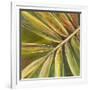 Green Close Up II-Patricia Pinto-Framed Art Print