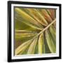 Green Close Up II-Patricia Pinto-Framed Art Print