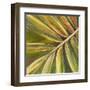 Green Close Up II-Patricia Pinto-Framed Art Print