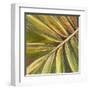 Green Close Up II-Patricia Pinto-Framed Art Print