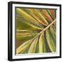 Green Close Up II-Patricia Pinto-Framed Art Print