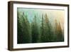 Green Coniferous Forest Lit by Sunlight-zlikovec-Framed Photographic Print