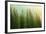 Green Coniferous Forest Lit by Sunlight-zlikovec-Framed Photographic Print