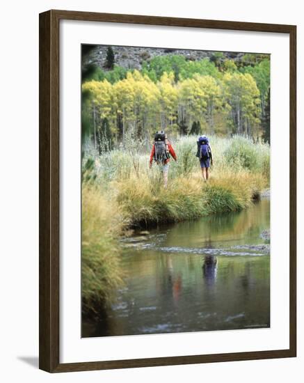 Green Creek, California, USA-null-Framed Photographic Print
