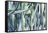 Green Crush I-Elizabeth Urquhart-Framed Stretched Canvas