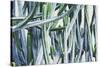 Green Crush I-Elizabeth Urquhart-Stretched Canvas