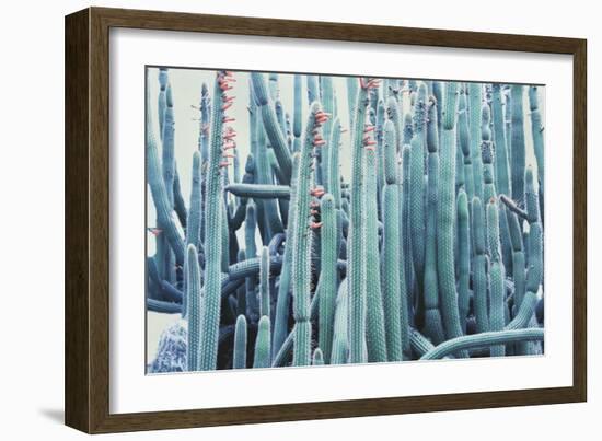 Green Crush IV-Elizabeth Urquhart-Framed Art Print