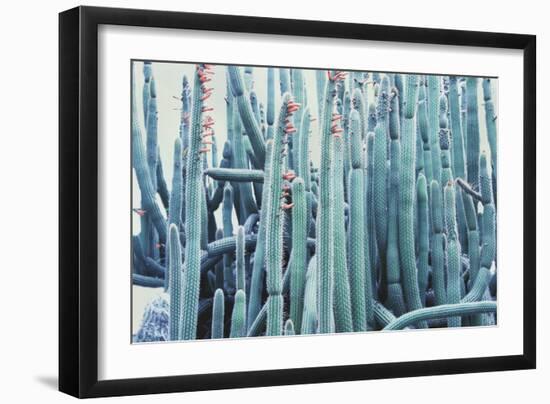 Green Crush IV-Elizabeth Urquhart-Framed Art Print