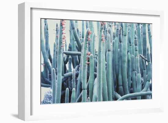 Green Crush IV-Elizabeth Urquhart-Framed Art Print