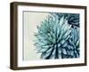 Green Crush IX-Elizabeth Urquhart-Framed Art Print