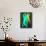 Green Dance-Felix Podgurski-Mounted Art Print displayed on a wall