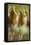 Green Dancers, 1878-Edgar Degas-Framed Stretched Canvas