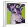 Green Deer-R Berghaus-Framed Art Print