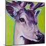 Green Deer-R Berghaus-Mounted Art Print