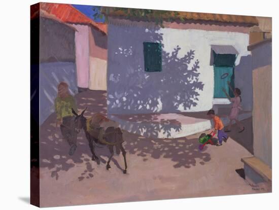 Green Door and Shadows, Lesbos, 1996-Andrew Macara-Stretched Canvas