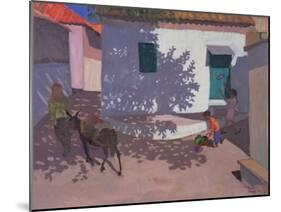 Green Door and Shadows, Lesbos, 1996-Andrew Macara-Mounted Giclee Print