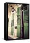 Green Doors in Usa-Jillian Melnyk-Framed Stretched Canvas