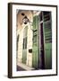Green Doors in Usa-Jillian Melnyk-Framed Photographic Print