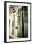 Green Doors in Usa-Jillian Melnyk-Framed Photographic Print