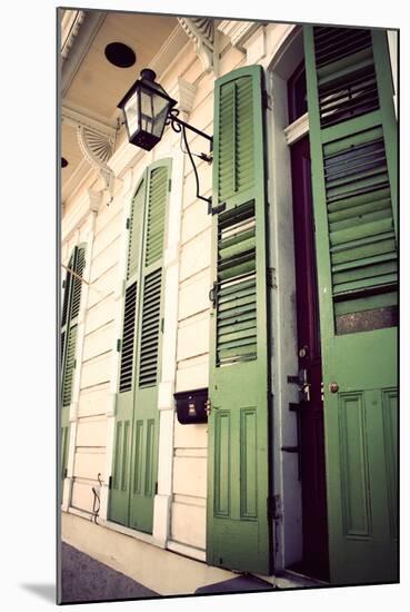 Green Doors in Usa-Jillian Melnyk-Mounted Photographic Print