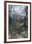 Green Dragon-Arthur Rackham-Framed Art Print