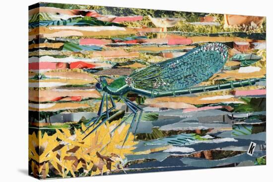 Green Dragonfly-Kirstie Adamson-Stretched Canvas