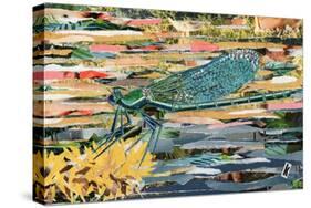 Green Dragonfly-Kirstie Adamson-Stretched Canvas