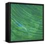 Green Earth I-Charles McMullen-Framed Stretched Canvas