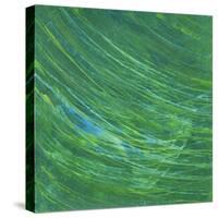 Green Earth I-Charles McMullen-Stretched Canvas