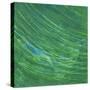 Green Earth I-Charles McMullen-Stretched Canvas